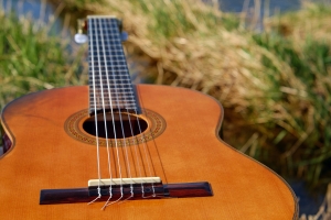 acoustic guitar, strings, capo, beginner guitar