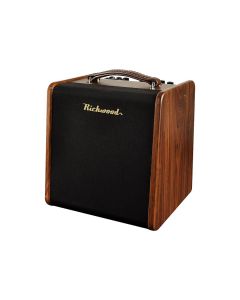 Richwood 60 Watt Acoustic Guitar Amplifier with Dual Footswitch 