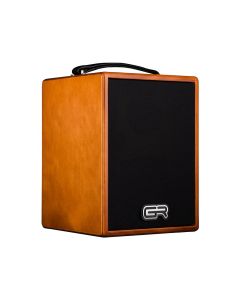 GRGuitar WD Acoustic 5 Acoustic Guitar Combo 2 Channel 80 Watt 5" Speaker 