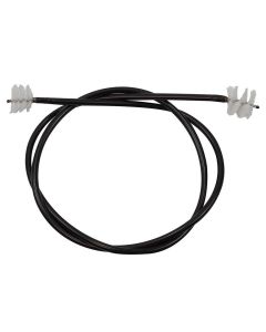 Champion trumpet / cornet snake, CH813