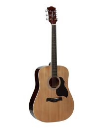 Richwood Artist Series Acoustic Guitar RD-12 Natural