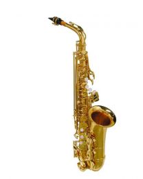 Stewart Ellis Gold Alto Saxophone with Soft Case 510 Series