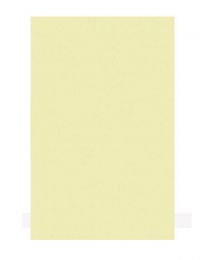 Boston Pickguard Sheet - Mint - 3 Ply - 45x29cm