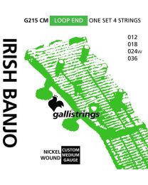 Galli string set Irish tuning tenor banjo nickel wound
