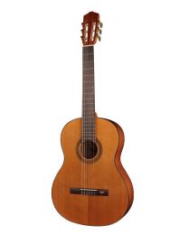 Classical guitars for sale on sale
