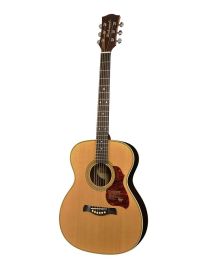 Richwood Master Series Handmade Acoustic Auditorium OOO Guitar, A-65-VA