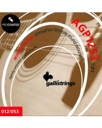 Galli ProCoated Phosphor Bronze String Set Acoustic, AGP1253