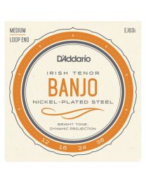 D'Addario Irish Tenor Banjo Strings, Nickel, 12-36 EJ63i