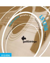 Galli String Set 013-056 Acoustic Phosphor Bronze Wound, MEDIUM LS1356