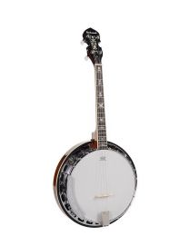 Richwood Master Series Tenor Banjo 4-String RMB-904-SS