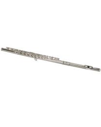 Stewart Ellis Flute with hard foamcase