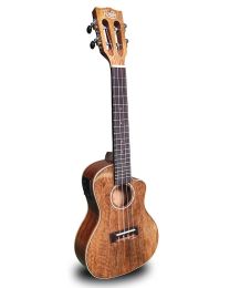 Korala Arched Back Concert Ukulele, UKC-730-CE