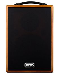 GRGuitar Acoustic Guitar Combo Wood, WDAC8