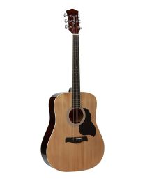 Richwood Artist Series Acoustic Guitar RD-12 Natural