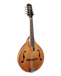 Richwood All Solid Master Series A-Style Mandolin with Solid Flamed Maple Body & Solid Spruce Top RMA-110-VS