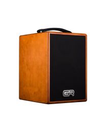 GRGuitar WD Acoustic 6 Acoustic Guitar Combo 3 Channel 120 Watt 6" Speaker 