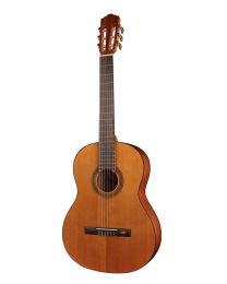 Salavador Cortez Student Series CC-10 Cedar Top Classical Guitar