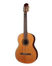 Salvador Cortez Student Series CC-15 Cedar Top Classical Guitar