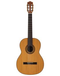 Salvador Cortez Solid Top Artist Series Classic Guitar, CC-22-SN