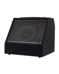 Hayman Digital Drum Monitor with Bluetooth, DDM-30