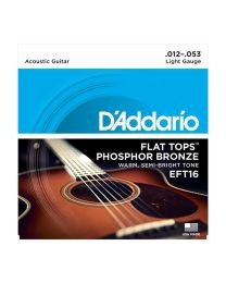 D'Addario Phospor Bronze Flat Top Acoustic Guitar Strings, Light, 012-053 EFT16