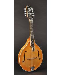 Richwood All Solid Master Series A-Style Mandolin with Solid Flamed Maple Body & Solid Spruce Top RMA-110-VS