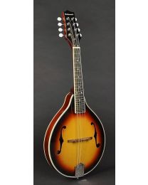 Richwood Master Series A-Style Mandolin with Spruce Top RMA-60-VS Vintage Sunburst