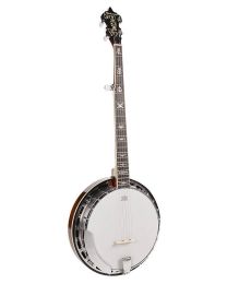 Richwood Master Series Bluegrass Banjo 5-String RMB-905