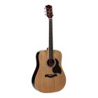 Richwood Artist Series Acoustic Guitar RD-12 Natural