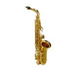 Stewart Ellis Gold Alto Saxophone with Soft Case 510 Series