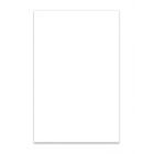 Boston Pickguard Sheet - White - 3 Ply - 45x29cm
