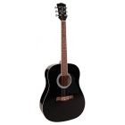 Richwood Artist Series Acoustic Guitar RD-12-BK Black