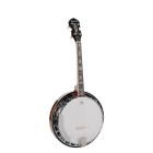 Richwood Master Series Tenor Banjo 4-String RMB-904-SS