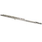 Stewart Ellis Flute with hard foamcase