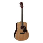 Richwood Artist Series Acoustic Guitar RD-12 Natural