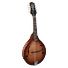 Richwood All Solid Master Series A-Style Mandolin with Solid Maple Body & Solid Spruce Top