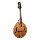 Richwood All Solid Master Series A-Style Mandolin with Solid Flamed Maple Body & Solid Spruce Top RMA-110-VS