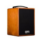 GRGuitar WD Acoustic 5 Acoustic Guitar Combo 2 Channel 80 Watt 5" Speaker 
