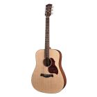 Richwood Master Series D20 Handmade Dreadnought Guitar D-20