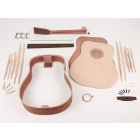 Boston Guitar Assembly Kit, KIT-AGD-15