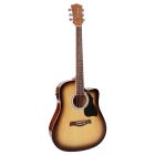Richwood Artist Series Acoustic Guitar RD-12-CESB Sunburst
