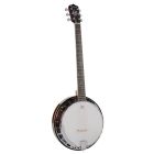 Richwood Master Series Guitar Banjo 6-String RMB-606
