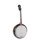 Richwood Master Series Tenor Banjo 4-String RMB-904-SS
