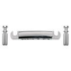 Boston Tailpiece Guitar, T-70-C